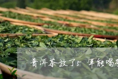 普洱茶放了5年能喝嘛/2023072329380