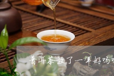 普洱茶放了一年好吗吗/2023062967270