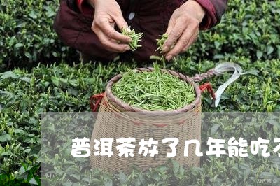 普洱茶放了几年能吃不辣吗/2023112860506