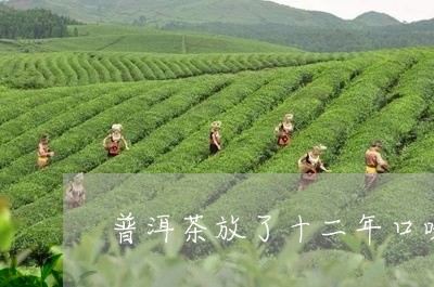 普洱茶放了十二年口味/2023062354028