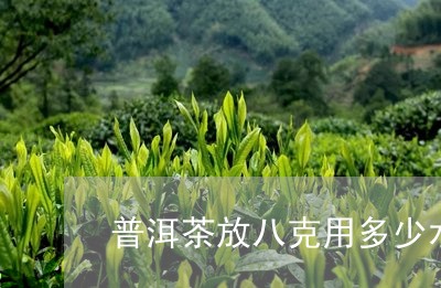 普洱茶放八克用多少水/2023092620415