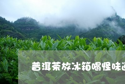 普洱茶放冰箱喝怪味道/2023063039360