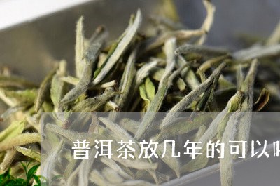 普洱茶放几年的可以喝/2023092995946