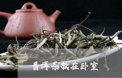 普洱茶放在卧室/2023101669703