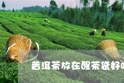 普洱茶放在醒茶袋好吗/2023062454838