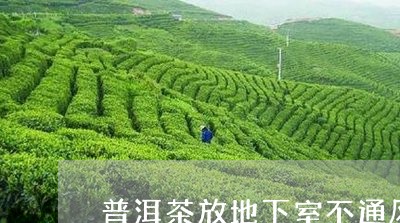 普洱茶放地下室不通风可以吗/2023052711714