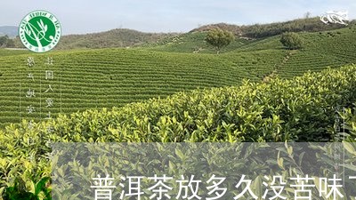 普洱茶放多久没苦味了/2023063027392