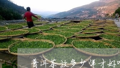 普洱茶放多少年才好喝/2023072251516