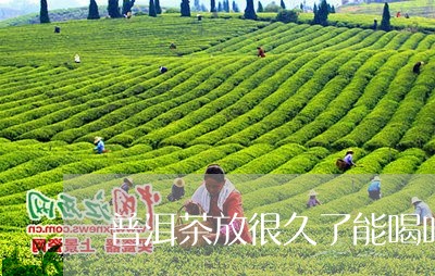 普洱茶放很久了能喝吗/2023062815079