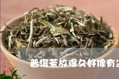 普洱茶放得久好像有尘/2023092904258