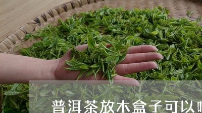 普洱茶放木盒子可以吗/2023062065179