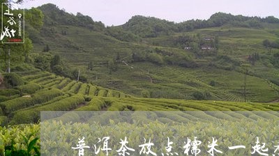 普洱茶放点糯米一起煮/2023062063845