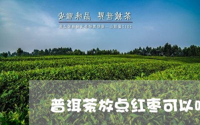 普洱茶放点红枣可以吗/2023062270705