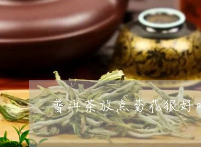 普洱茶放点菊花很好喝/2023100646037