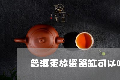 普洱茶放瓷器缸可以吗/2023092864153