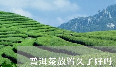 普洱茶放置久了好吗/2023091361714