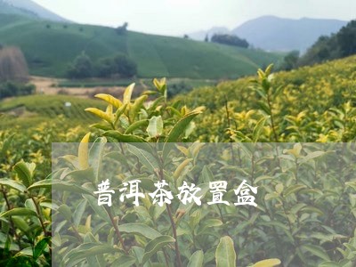 普洱茶放置盒/2023042681820