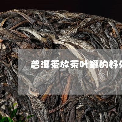 普洱茶放茶叶罐的好处/2023092815260