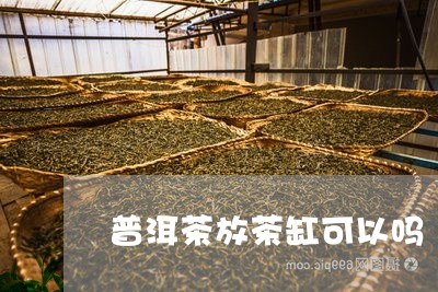 普洱茶放茶缸可以吗/2023091567480