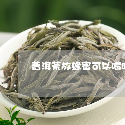 普洱茶放蜂蜜可以喝吗/2023062214936