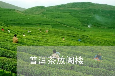 普洱茶放阁楼/2023042706086