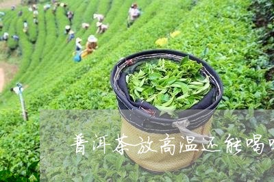 普洱茶放高温还能喝吗/2023062362684