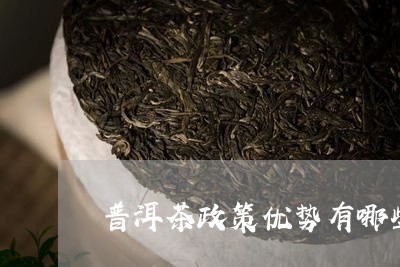 普洱茶政策优势有哪些/2023063025057