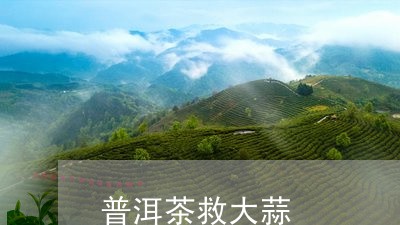 普洱茶救大蒜/2023042782926