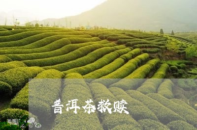 普洱茶救赎/2023081804858