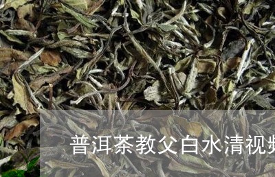 普洱茶教父白水清视频/2023080160515