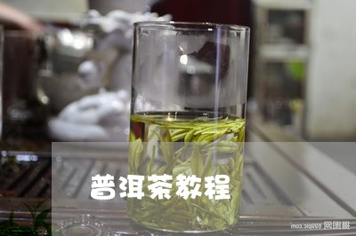 普洱茶教程/2023090546257