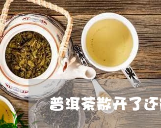 普洱茶散开了还能喝吗/2023093039686