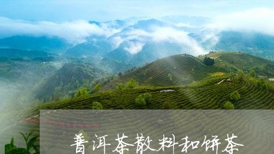 普洱茶散料和饼茶/2023110614048