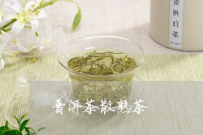 普洱茶散熟茶/2023042832764