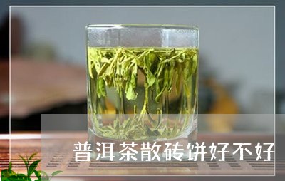 普洱茶散砖饼好不好/2023110671817