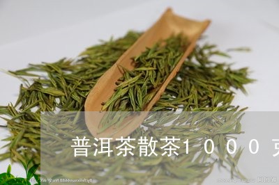 普洱茶散茶1000克/2023062828384