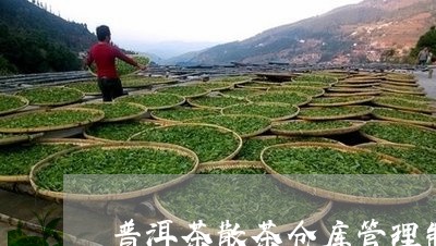 普洱茶散茶仓库管理制度/2023110302846