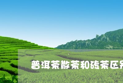 普洱茶散茶和砖茶区别/2023080222825