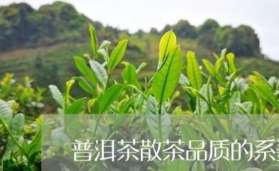 普洱茶散茶品质的系数/2023080347269