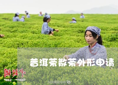 普洱茶散茶外形申请/2023091460504