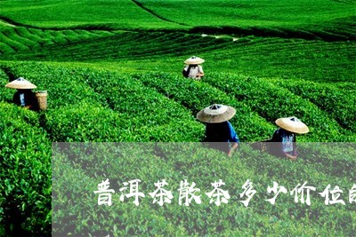 普洱茶散茶多少价位的好/2023112516282