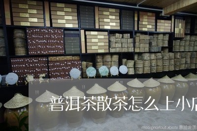 普洱茶散茶怎么上小店/2023100783826