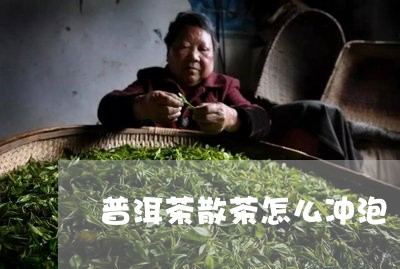 普洱茶散茶怎么冲泡/2023091511484