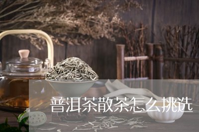 普洱茶散茶怎么挑选/2023070981837