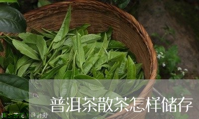 普洱茶散茶怎样储存/2023091503158