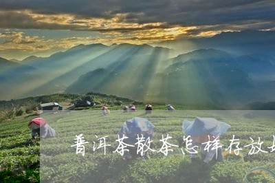 普洱茶散茶怎样存放好/2023100850583