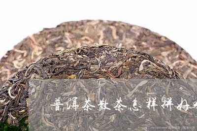 普洱茶散茶怎样拼好喝/2023100792716