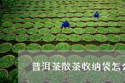 普洱茶散茶收纳袋怎么用/2023102523928