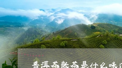 普洱茶散茶是什么味道/2023080204136