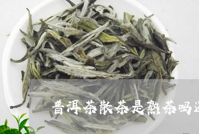 普洱茶散茶是熟茶吗还是生茶好/2023082889461